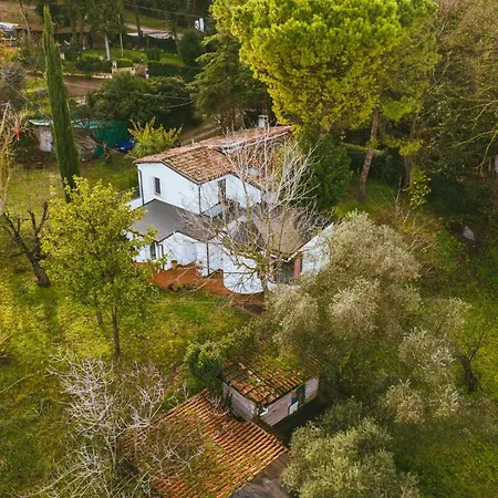 Ferienhaus Granducato Di Monteballante Pesaro