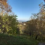 Granducato Di Monteballante بيت للعطل بيزارو