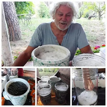 Granducato Di Monteballante בית נופש פסארו