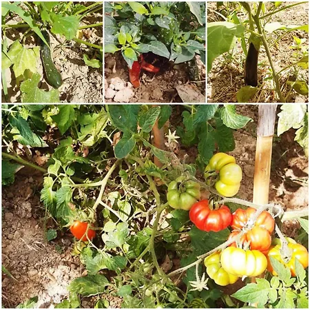 Granducato Di Monteballante בית נופש