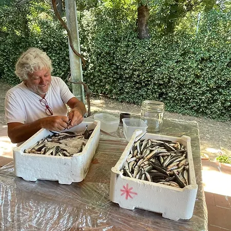Granducato Di Monteballante Σπίτι διακοπών *